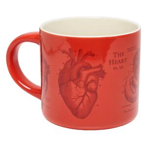 Thumbnail of Anatomical Heart | 15oz Mug