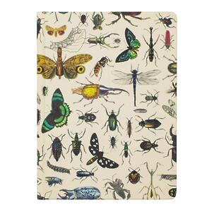 Thumbnail of Insects | 9