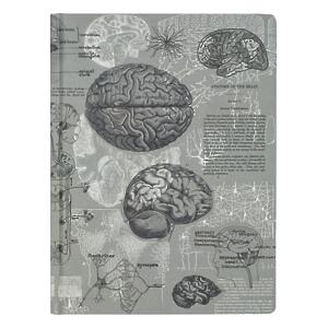 Thumbnail of Brain | 9