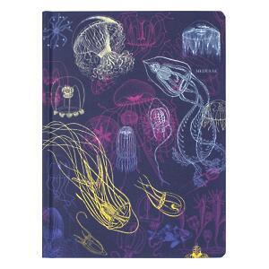 Thumbnail of Jellyfish | 9