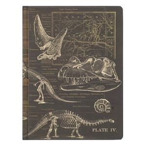 Thumbnail of Dinosaurs | 9