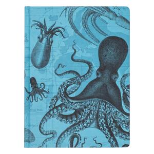 Thumbnail of Cephalopods | 9