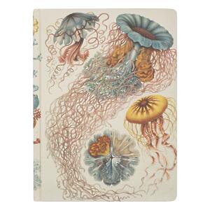 Thumbnail of Haeckel Jellyfish | 9