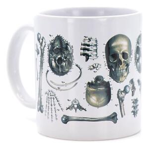 Thumbnail of Skeleton | 20oz Mug