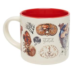 Thumbnail of Vascular Anatomy | 15oz Mug
