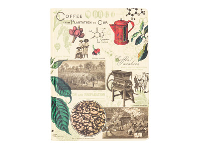 Thumbnail of Coffee Science | 9