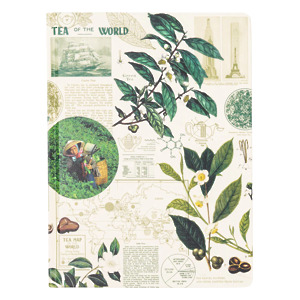 Thumbnail of Tea Science | 9