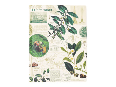 Thumbnail of Tea Science | 9