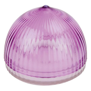 Thumbnail of Onion Half-Saver