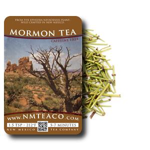 Thumbnail of Mormon Tea