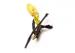 Image4 Thumbnail