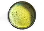 Image5 Thumbnail