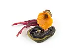 Image4 Thumbnail