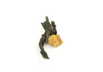 Image4 Thumbnail