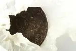 Image3 Thumbnail