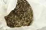 Image3 Thumbnail