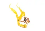 Image4 Thumbnail