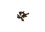 Image4 Thumbnail