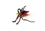 Image4 Thumbnail