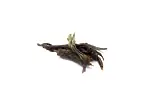 Image4 Thumbnail