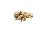 Image4 Thumbnail