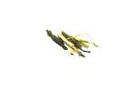 Image4 Thumbnail
