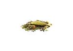 Image4 Thumbnail