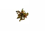 Image4 Thumbnail