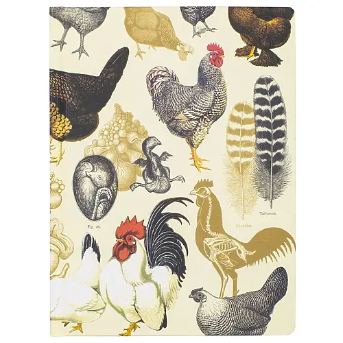 Thumbnail of assets/images/hypothesisnotebook-chickens-1.png