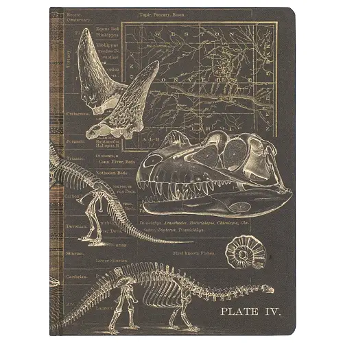 Thumbnail of assets/images/hypothesisnotebook-dinosaurs-1.png