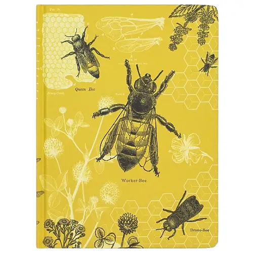 Thumbnail of assets/images/hypothesisnotebook-honeybee-1.png