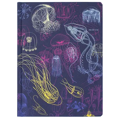 Thumbnail of assets/images/hypothesisnotebook-jellyfish-1.png