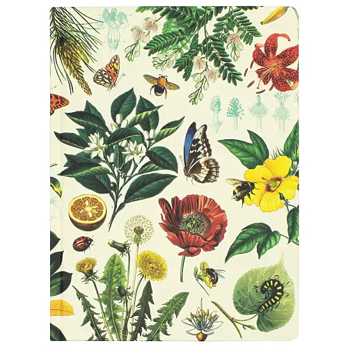 Thumbnail of assets/images/hypothesisnotebook-pollinators-1.png
