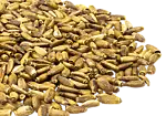 Image3 Thumbnail