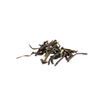 Image4 Thumbnail