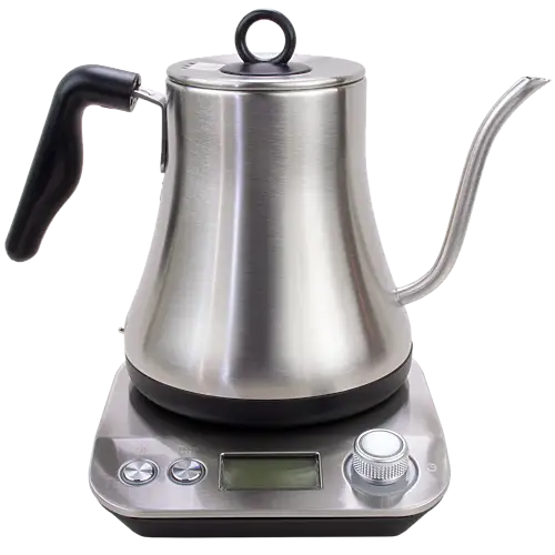 Earl Stainless Steel Electric Kettle