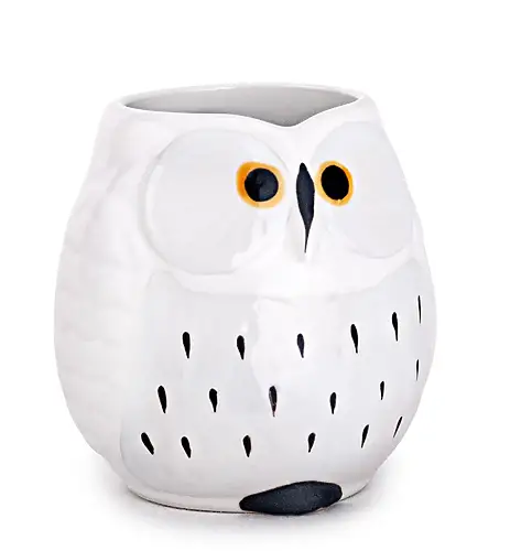 Thumbnail of assets/images/owl.jpg