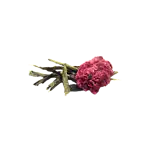Image4 Thumbnail
