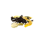 Image4 Thumbnail