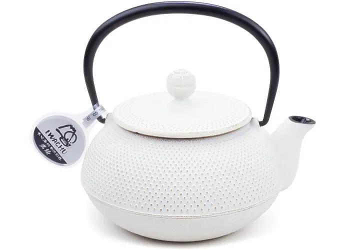 Gray and Gold Goldfish Japanese Iwachu Iron Teapot