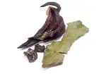 Image4 Thumbnail