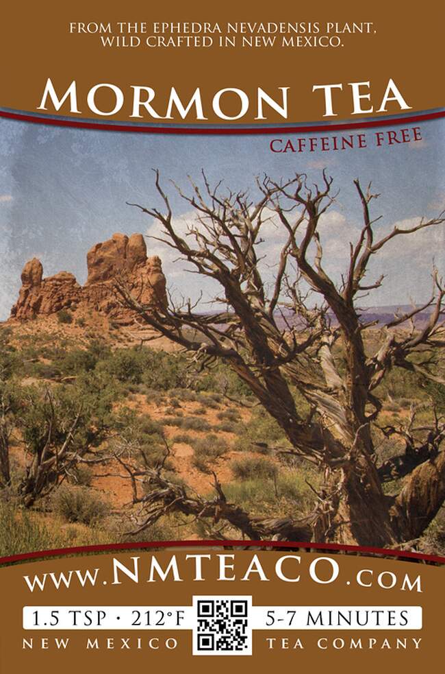 Mormon Tea